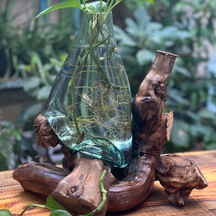 آبگینه چوبی